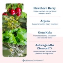 lifeseasons-b-p-stabili-t-blood-pressure-4.jpg
