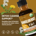 dandelion-root-extract-drops-diente-de-l-2.jpg