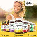 wild-organic-dandelion-root-capsules-liv-6.jpg