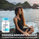 boost-your-brain-power-brain-ol-advanced-4.jpg
