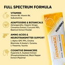 noobru-dvantage-nootropic-delicious-noot-4.jpg