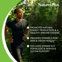 naturesplus-ultra-one-daily-iron-free-90-4.jpg