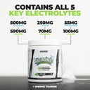 huge-supplements-electrolytes-powder-adv-3.jpg