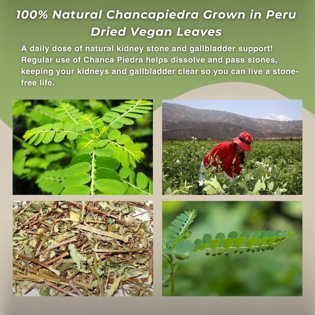 hanan-chanca-piedra-loose-leaf-1-4oz-sto-6.jpg