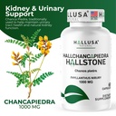hallusa-natural-hallchancapiedra-1000-mg-4.jpg
