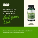 swanson-maximum-strength-fucoidan-extrac-5.jpg