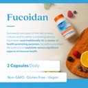 doctor-s-best-fucoidan-supplement-for-me-5.jpg