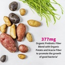 garden-of-life-women-s-probiotics-multiv-4.jpg
