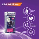 sambucol-black-elderberry-syrup-for-kids-4.jpg