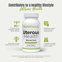 herbsforever-uterous-health-uterous-care-5.jpg