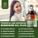 berberine-hcl-supplement-1200mg-pure-ber-3.jpg