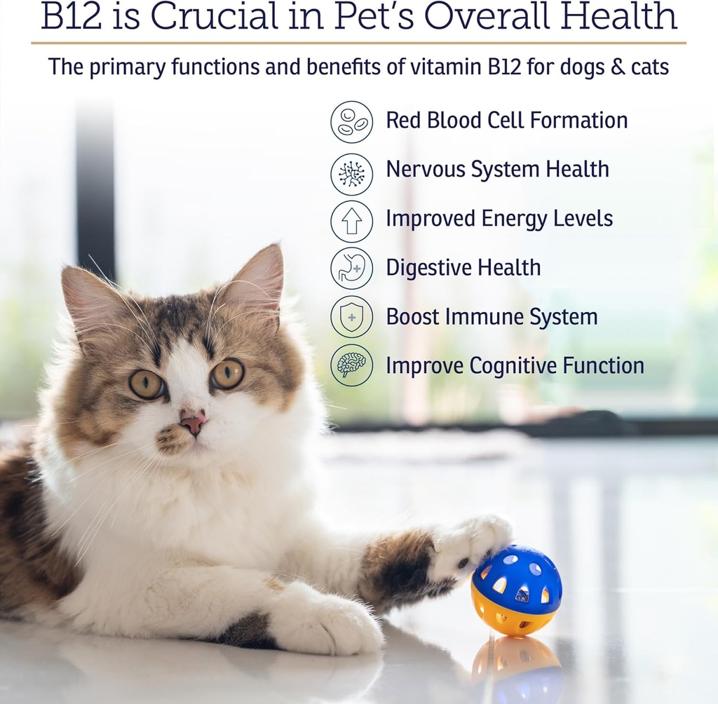 rx-vitamins-b12-for-dogs-and-cats---dog--3.jpg