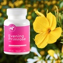 mountain-meadow-herbs-evening-primrose-o-5.jpg