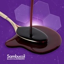 sambucol-black-elderberry-syrup-and-gumm-4.jpg