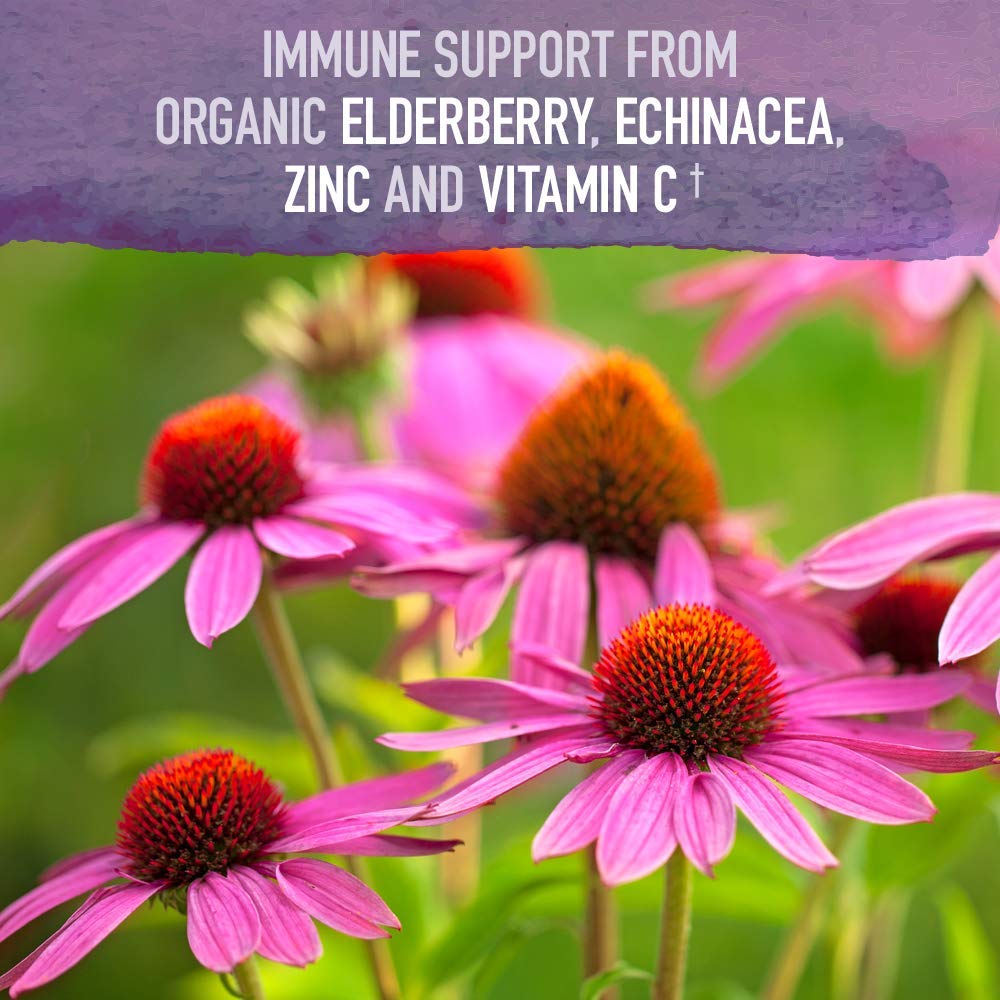 garden-of-life-organics-plant-based-elde-5.jpg