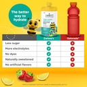 zarbee-s-triple-action-hydration-electro-4.jpg