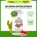 vitapia-nopal-cactus-extract-for-antioxi-2.jpg