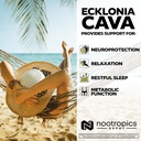 nootropics-depot-ecklonia-cava-capsules--4.jpg