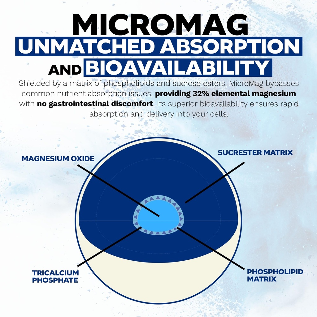 nootropics-depot-micromag-magnesium-caps-5.jpg