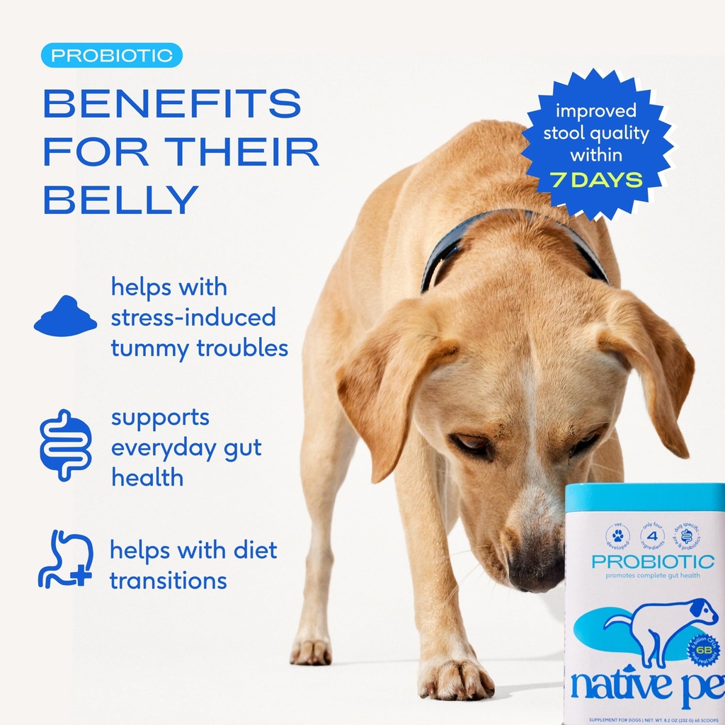 native-pet-allergy-chews-for-dogs-60-air-3.jpg