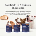 petlab-co-allergy-immune-daily-probiotic-3.jpg
