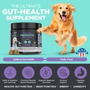 googipet-probiotics-for-dogs-digestive-h-4.jpg