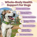 probiotics-for-dogs-6-billion-cfus-10-st-2.jpg