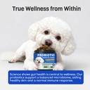 probiotics-for-dogs-10b-cfu-digestive-he-6.jpg