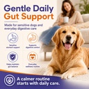 probiotics-for-dogs-6-billion-cfu-dog-pr-6.jpg