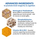 biotrust-eternal-mind-brain-supplements--3.jpg