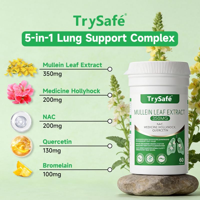 5-in-1-350mg-mullein-leaf-extract-for-lu-4.jpg