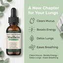 pulmoria-wild-mullein-drops-herbal-blend-4.jpg
