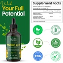 mila-miamor-mullein-drops-for-lungs-supp-2.jpg