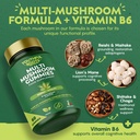 multi-mushroom-gummies-6-in-1-with-lions-2.jpg