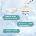 the-standard-lab-nac-600mg-nad-daily-com-5.jpg