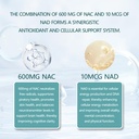 the-standard-lab-nac-600mg-nad-daily-com-3.jpg