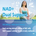 nac-supplement-with-nad-coconut-oil-2-in-4.jpg