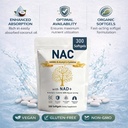 the-standard-lab-nac-600mg-nac-supplemen-2.jpg