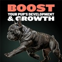 bully-max-2-in-1-puppy-vitamins-30-chewa-3.jpg