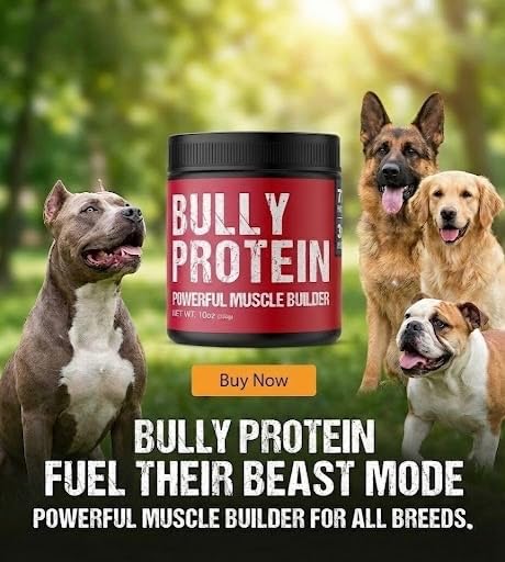 convenient-real-meat-protein-powder-for--2.jpg
