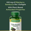 nature-s-bounty-sambucus-elderberry-herb-3.jpg