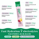 venture-pal-2-in-1-hydration-packets-gut-4.jpg