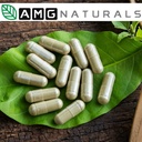 melia-azadirachta-100-organic-azadiracht-3.jpg