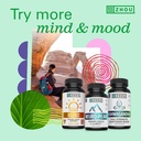 zhou-brain-energy-support-bundle-nootrop-6.jpg