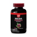 focus-and-memory-supplements-mucuna-prur-2.jpg