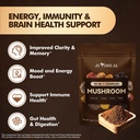 10-in-1-mushroom-powder-organic-mushroom-3.jpg