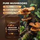 10-in-1-mushroom-powder-organic-mushroom-6.jpg