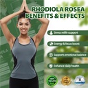 rhodiola-rosea-supplement-organic-premiu-4.jpg