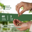 rhodiola-rosea-supplement-organic-premiu-3.jpg