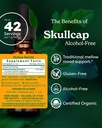 herb-pharm-skullcap-alcohol-free-liquid--2.jpg